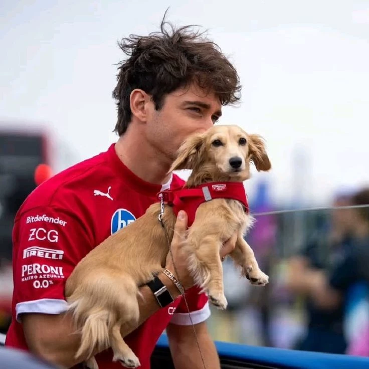 Charles Leclerc thumbnail