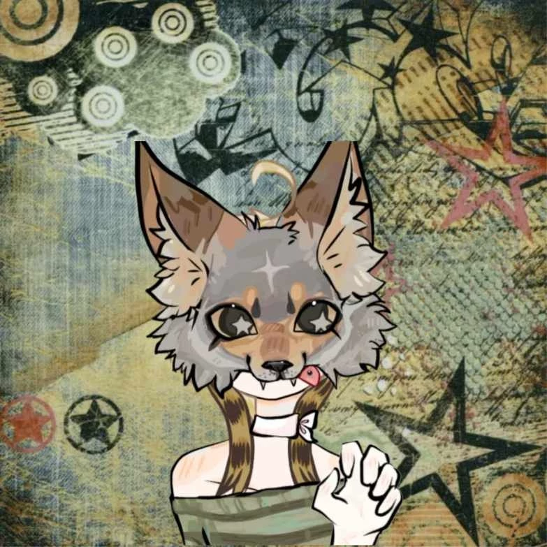 ☆ F1NN ☆