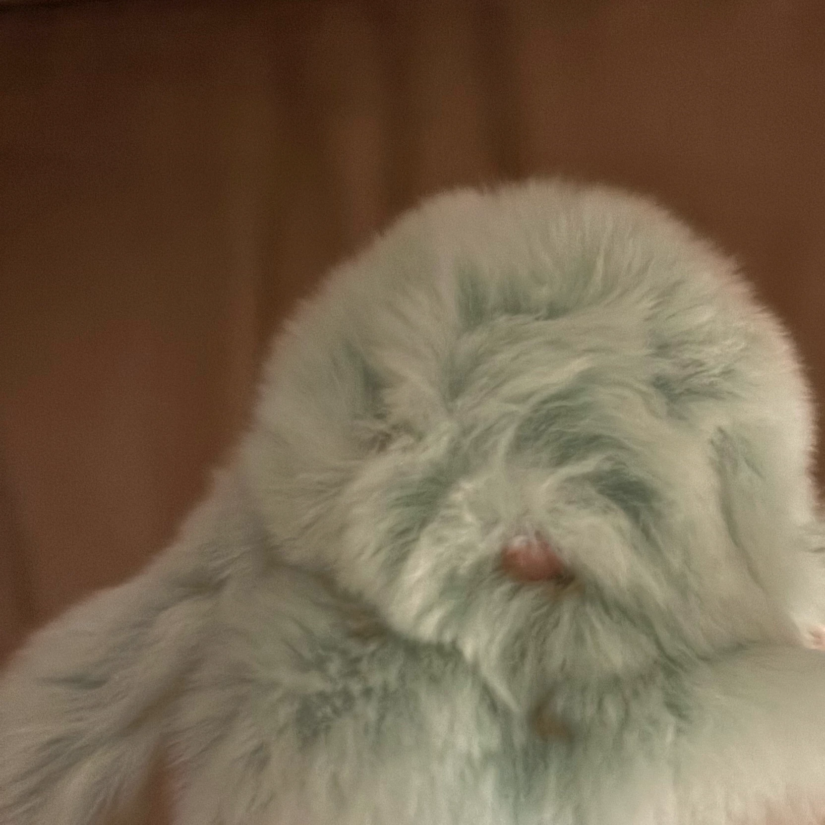 Clover thumbnail