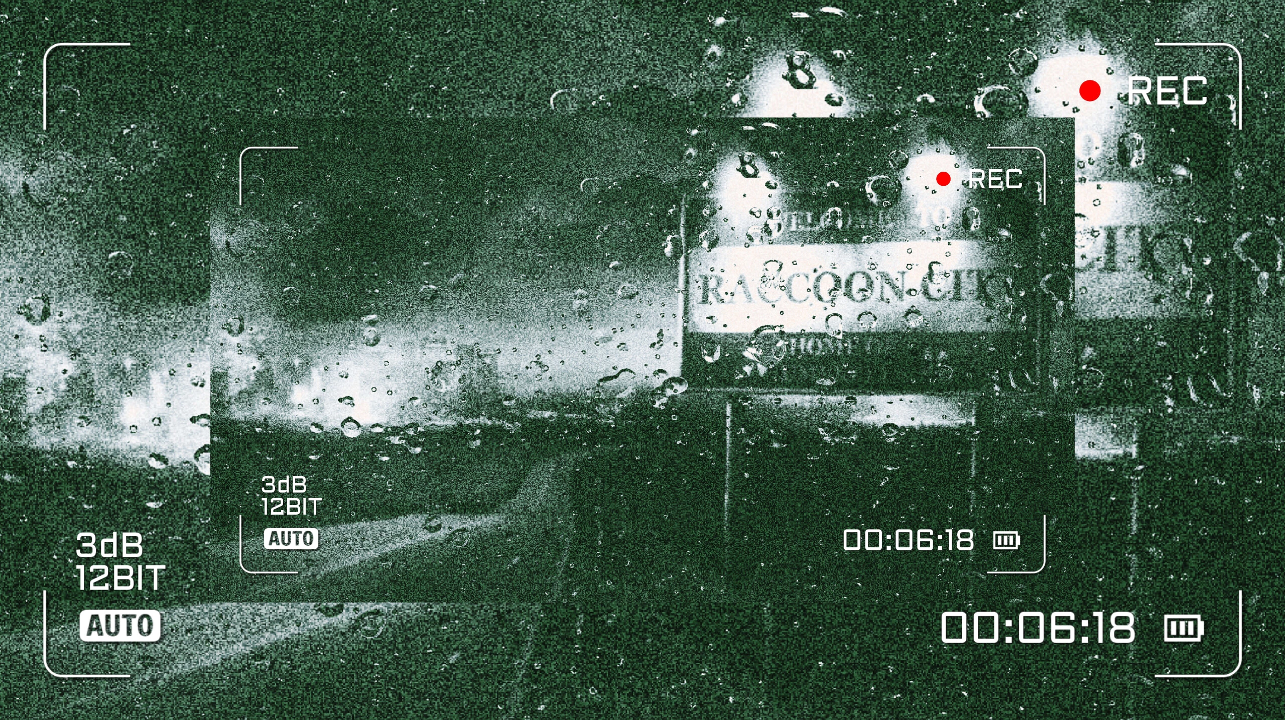 Raccoon City thumbnail