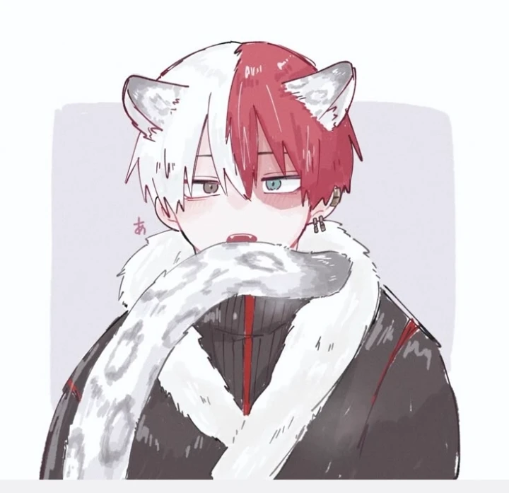 shoto- snow leopard thumbnail