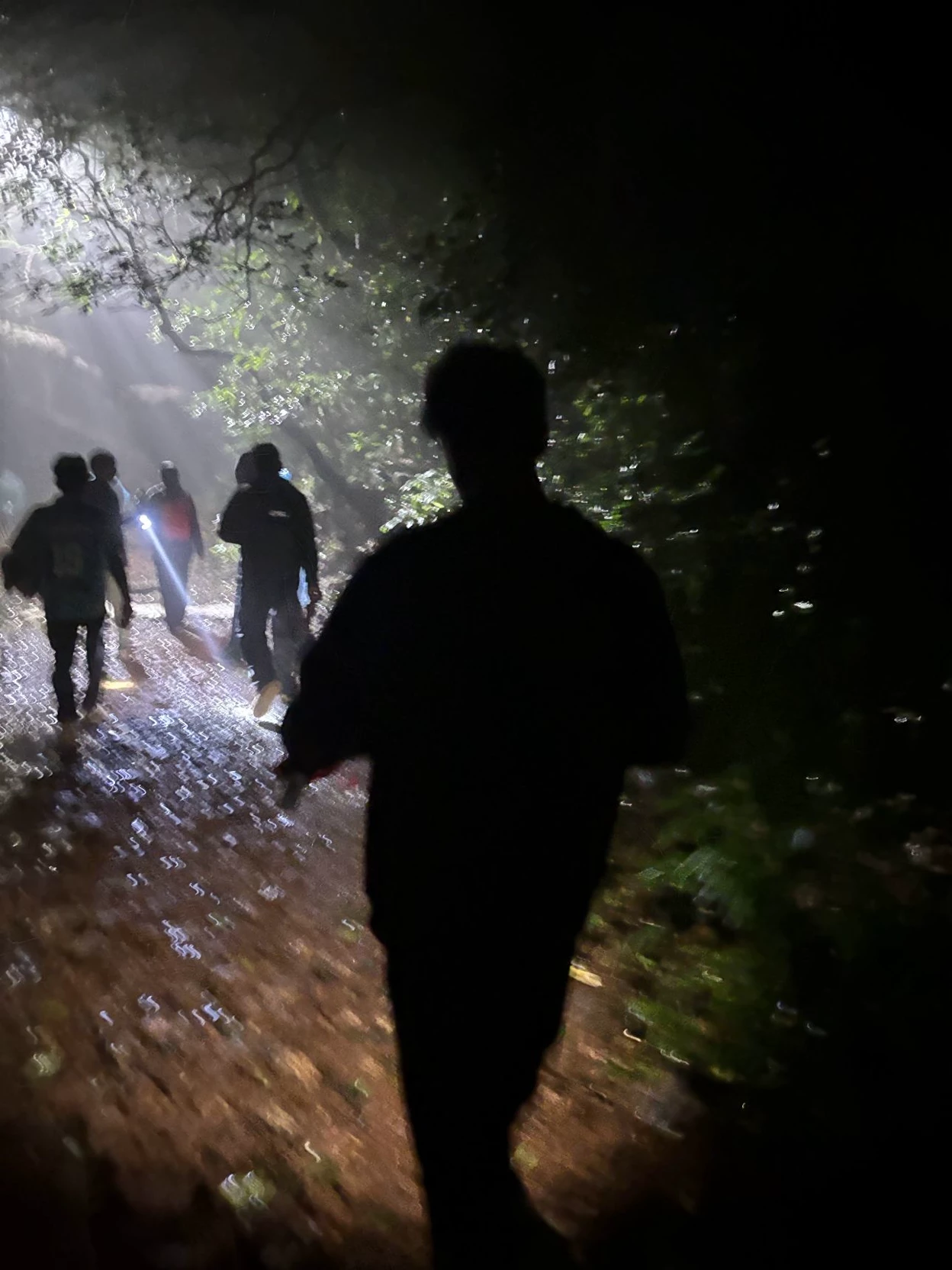HORROR JUNGLE thumbnail