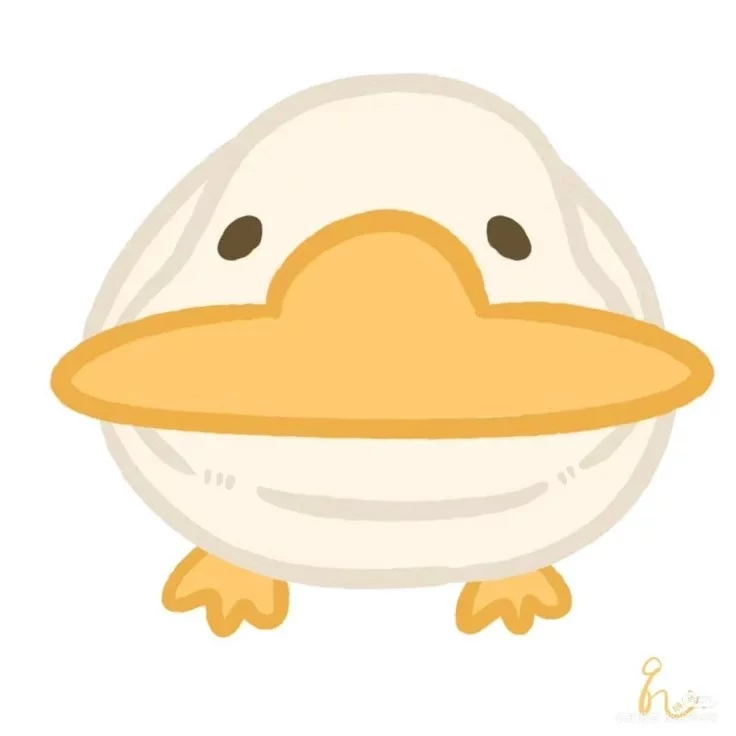 NikaDucks