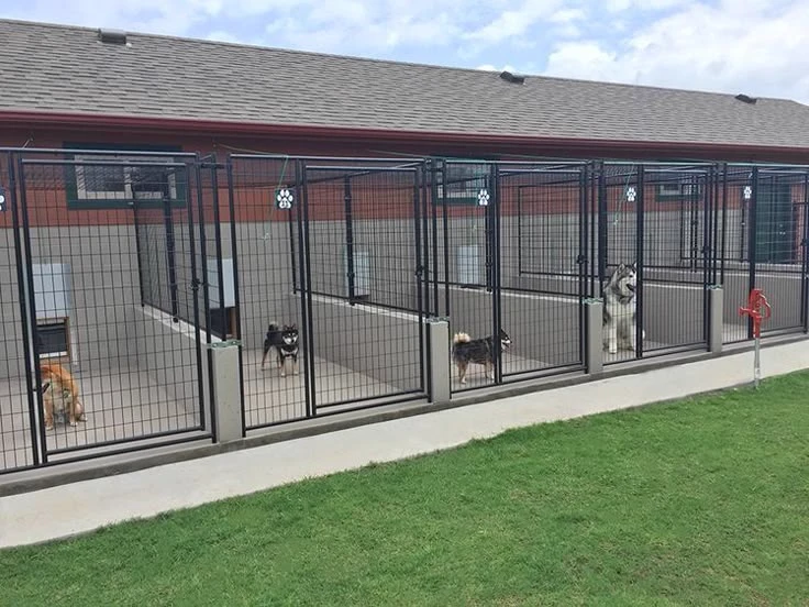 🐕The Dog Pound🐕 thumbnail