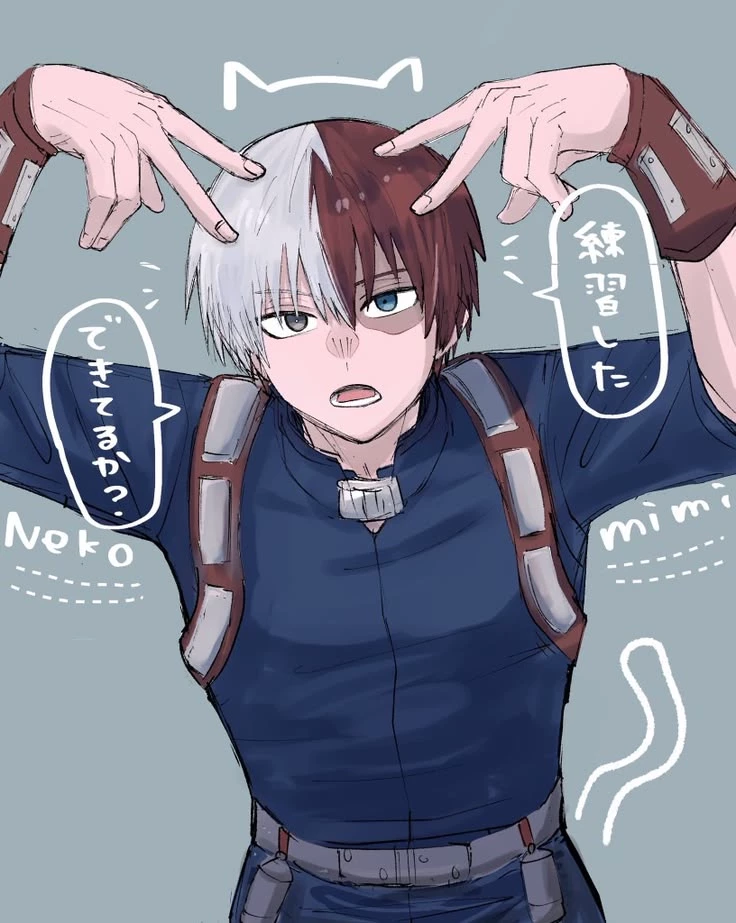 Shoto Todoroki thumbnail