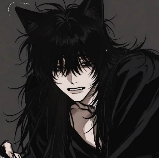 Axel | wolf hybrid  thumbnail