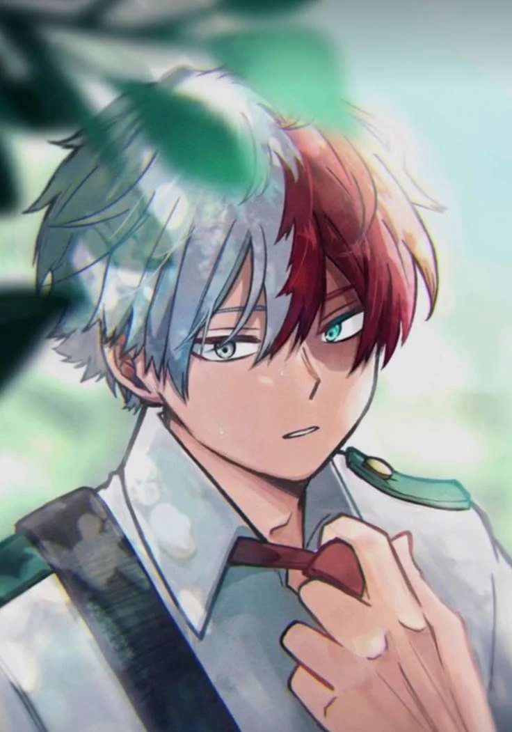 ❄️ \- Shoto Todoroki - 🔥 thumbnail
