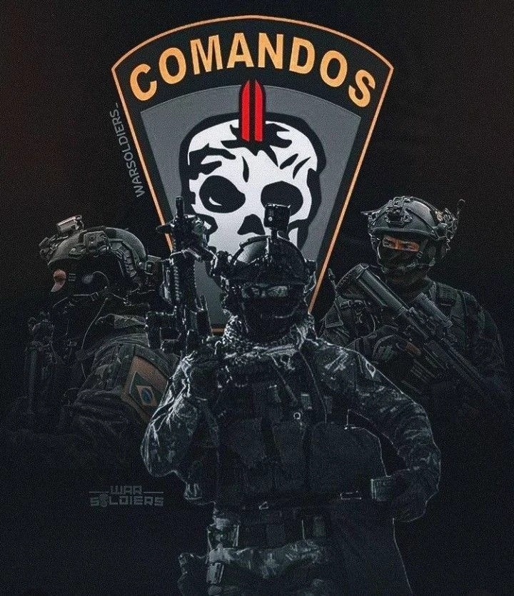 Commands of the Brazilian Army thumbnail
