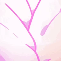 Eternal sugar cookie thumbnail