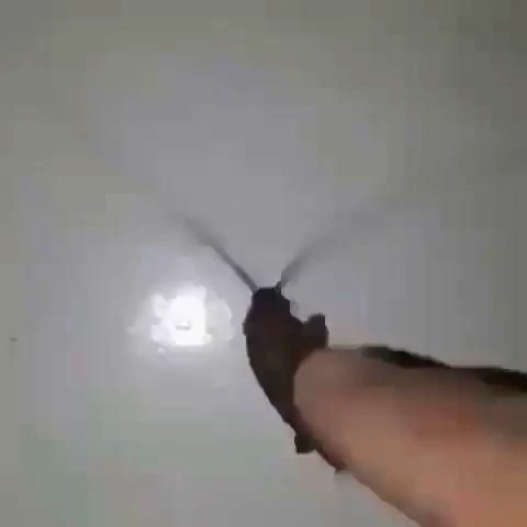 德克斯特