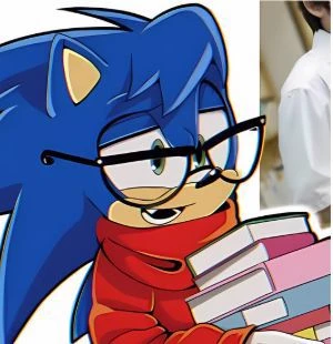 Nicky, The hedgehog thumbnail