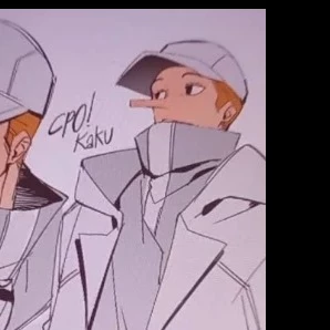 Kaku CP9 thumbnail