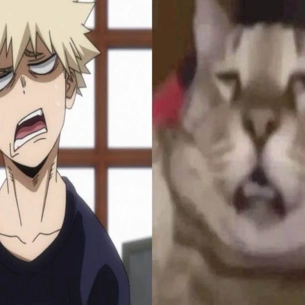 Yuki batatinha123! :9