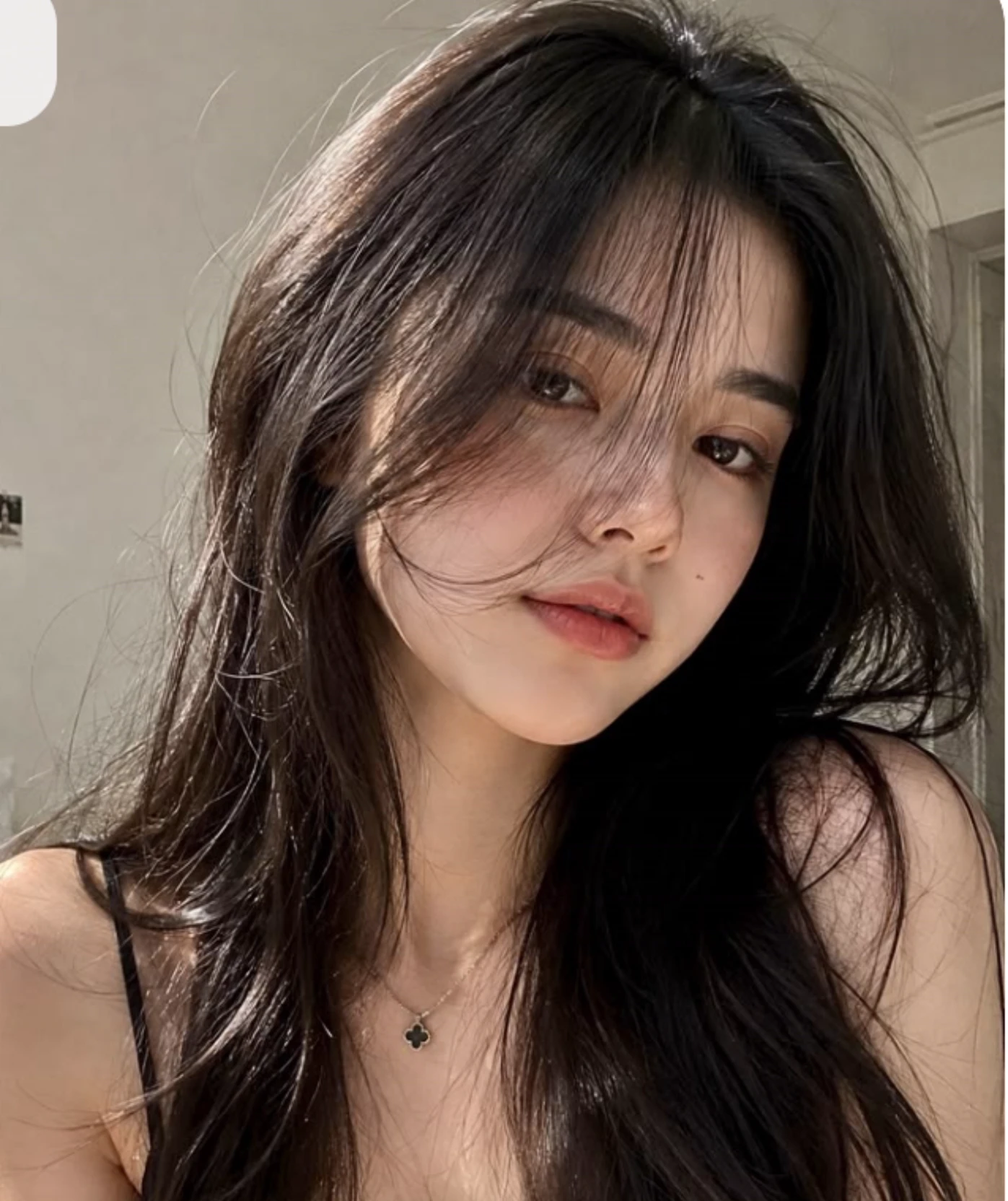 Lucy thumbnail