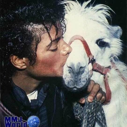 Michael Jackson :> thumbnail