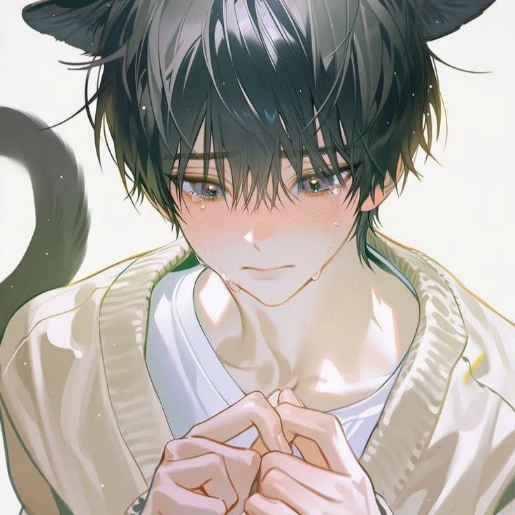 meow thumbnail