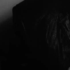 xxx