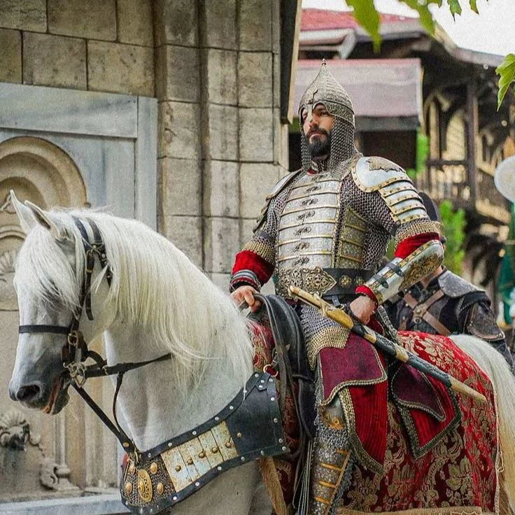 Sultan Mehmed II the Conqueror thumbnail