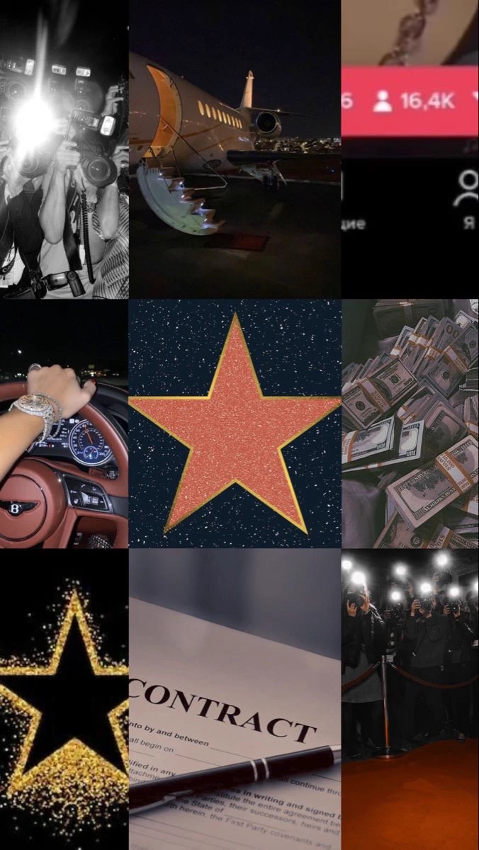 ⭐ Fame Simulator ⭐ thumbnail