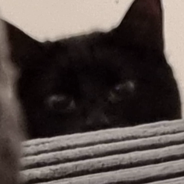Cara