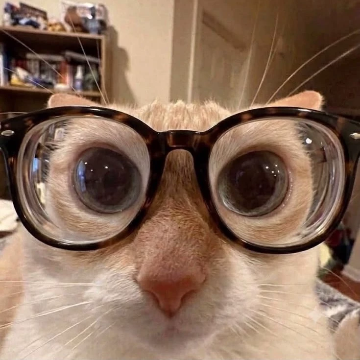 Kit