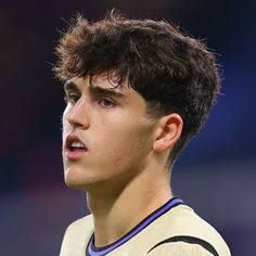 Pau Cubarsi thumbnail