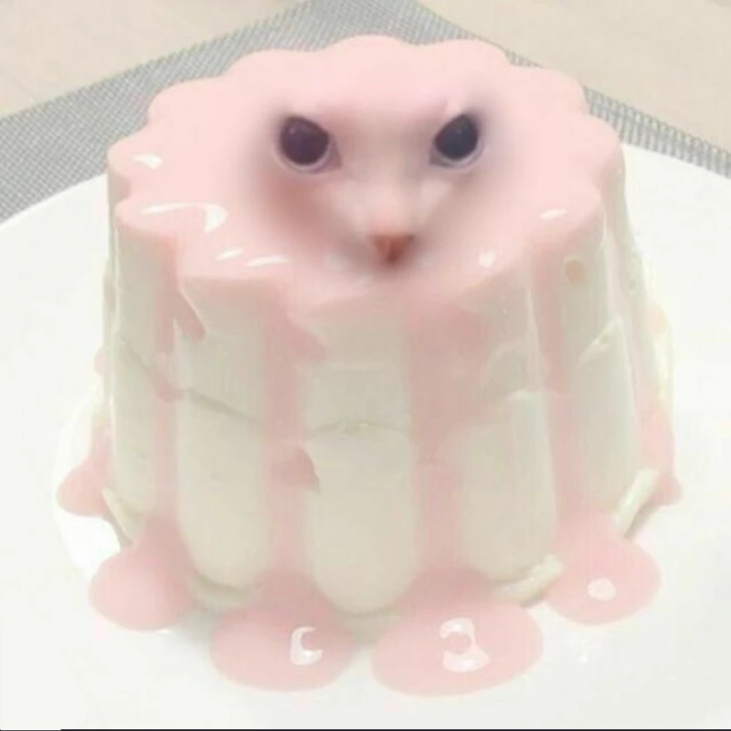gato flan thumbnail