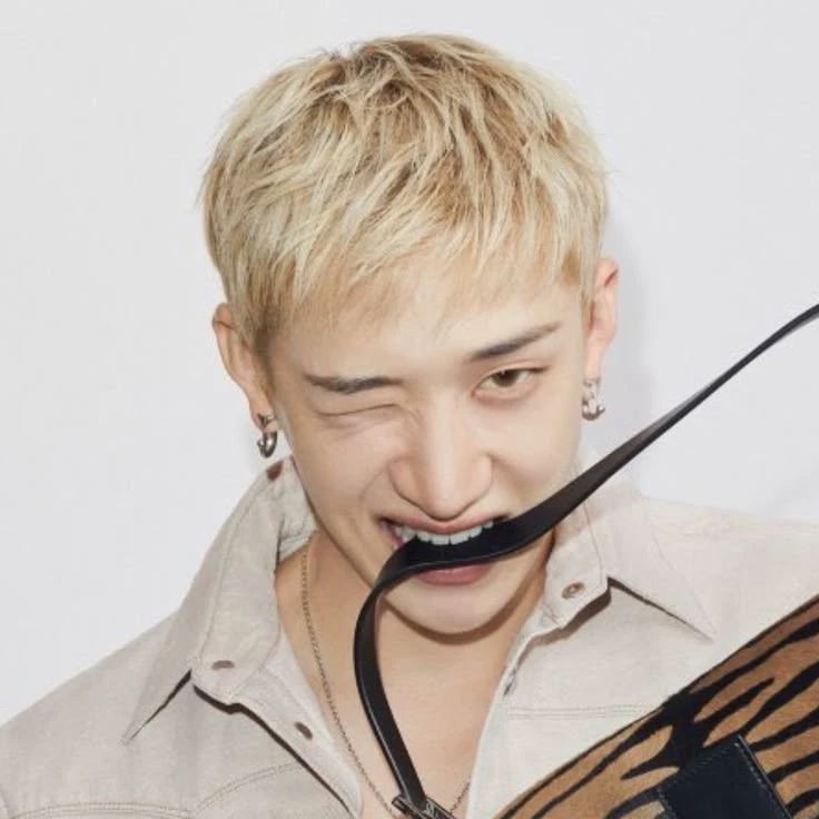 Bang chan thumbnail