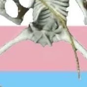 Rentgkin_eviltwunk