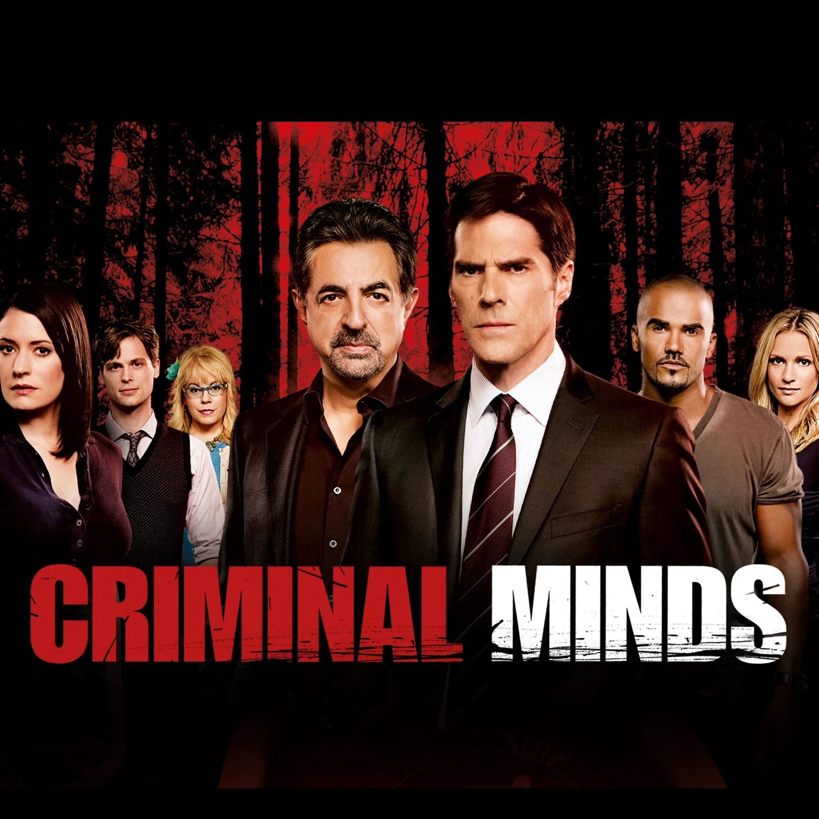 BAU (Criminal minds FBI) thumbnail
