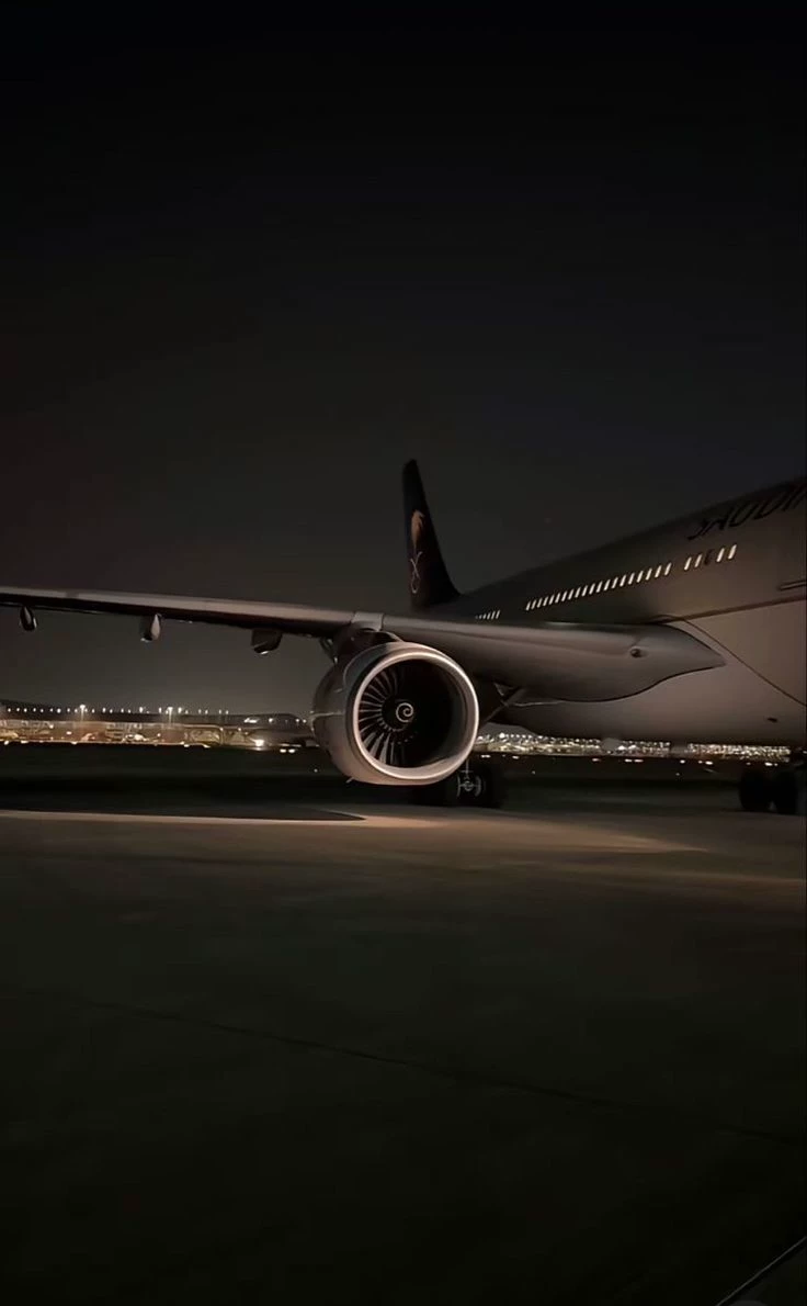 Plane—you are the captain. thumbnail