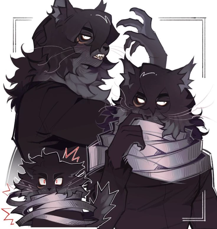 Shota Aizawa thumbnail