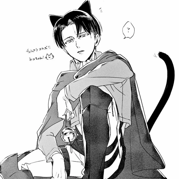 Levi cat thumbnail