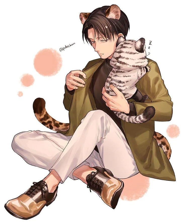 Hybrid Levi thumbnail