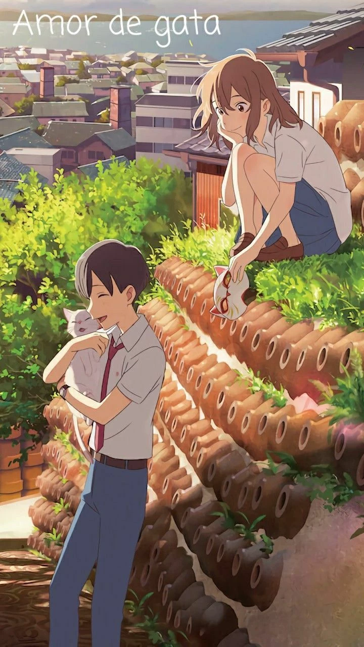 Cat's Love thumbnail