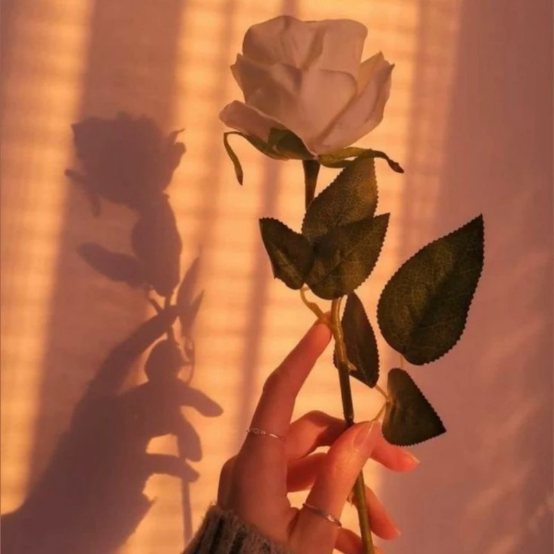 ♡ Emy ♡