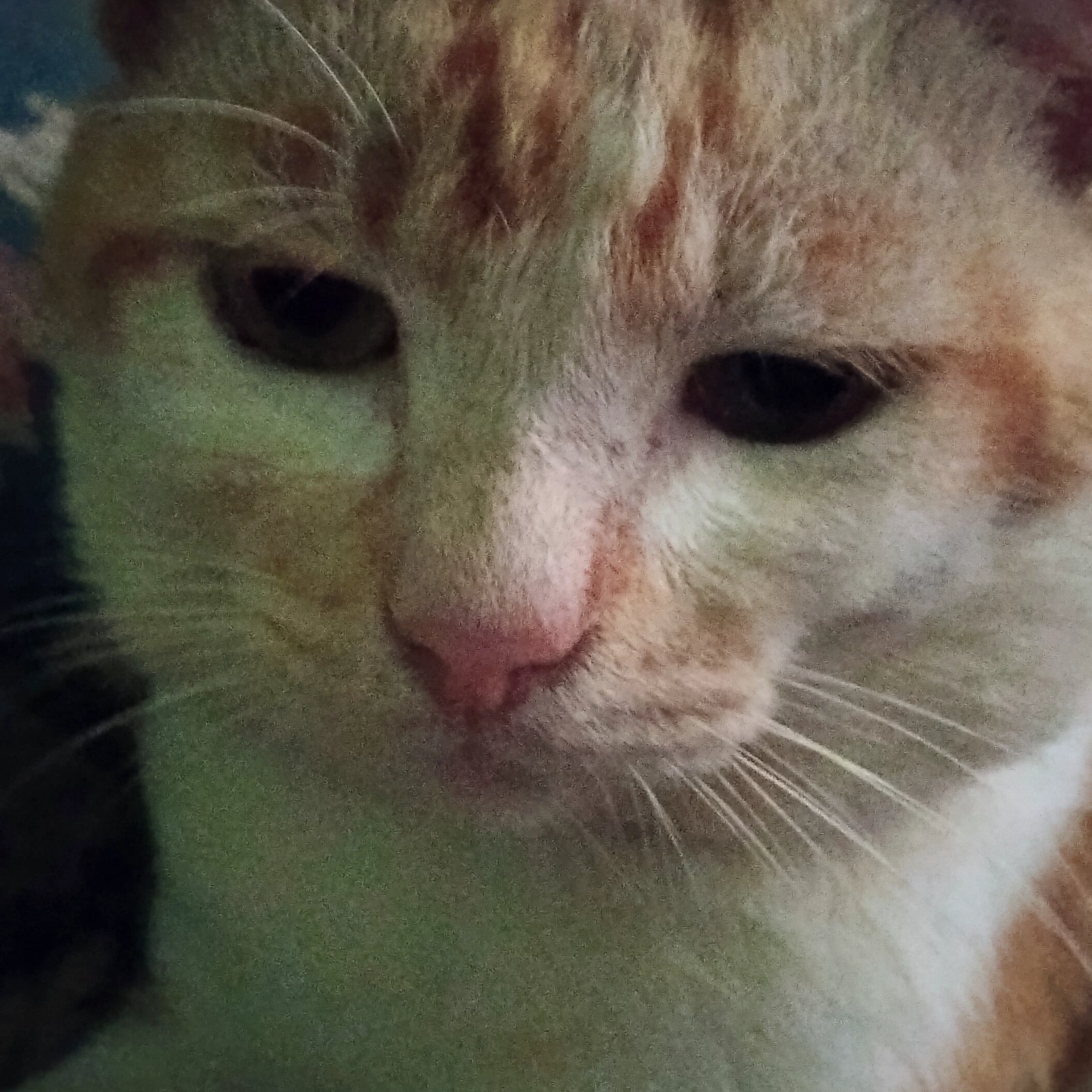 Archie