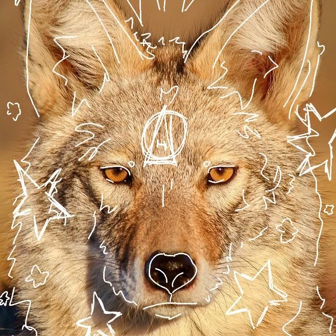 ⋆.˚🦋༘ ⋆🐾°S1llyClawz!!⋆🐾°⋆.˚🦋༘