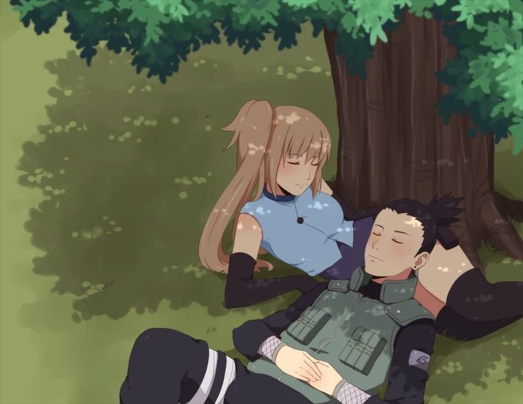 Shikamaru X Y/N- Surprise kisses thumbnail