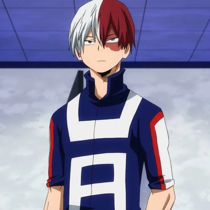 Shoto Todoroki || Un nuevo comienzo thumbnail