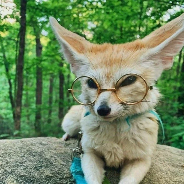 Hiro wolfoster