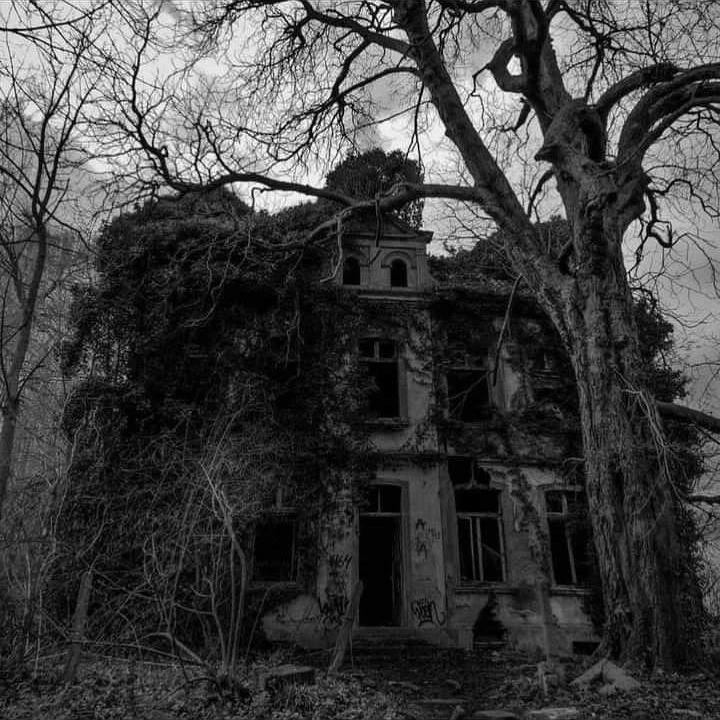 Abandoned orphanage thumbnail