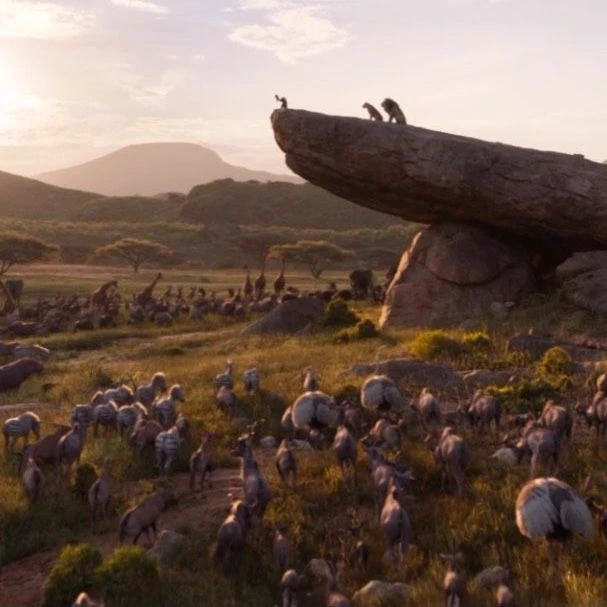 LION KING thumbnail