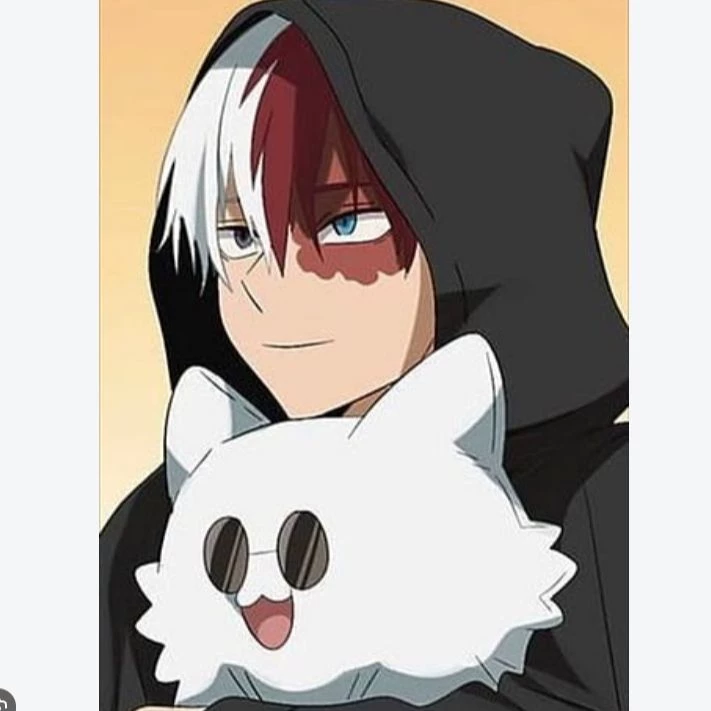Shoto Todoroki thumbnail