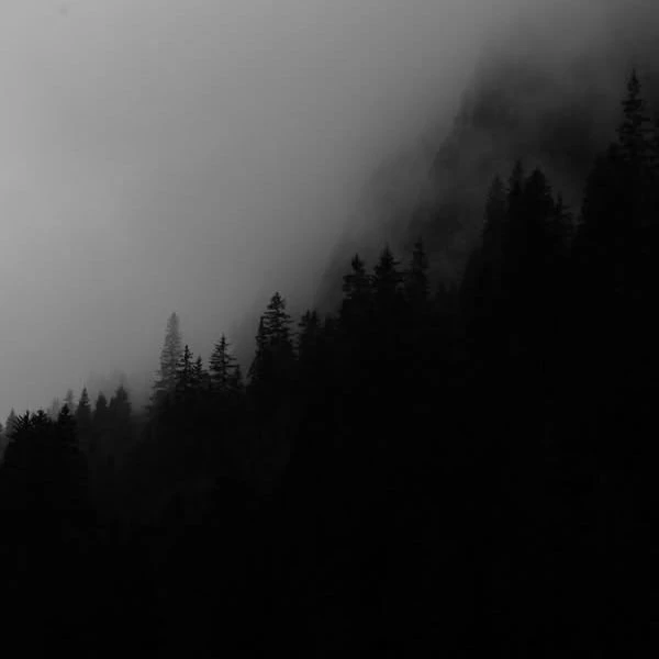 ... thumbnail