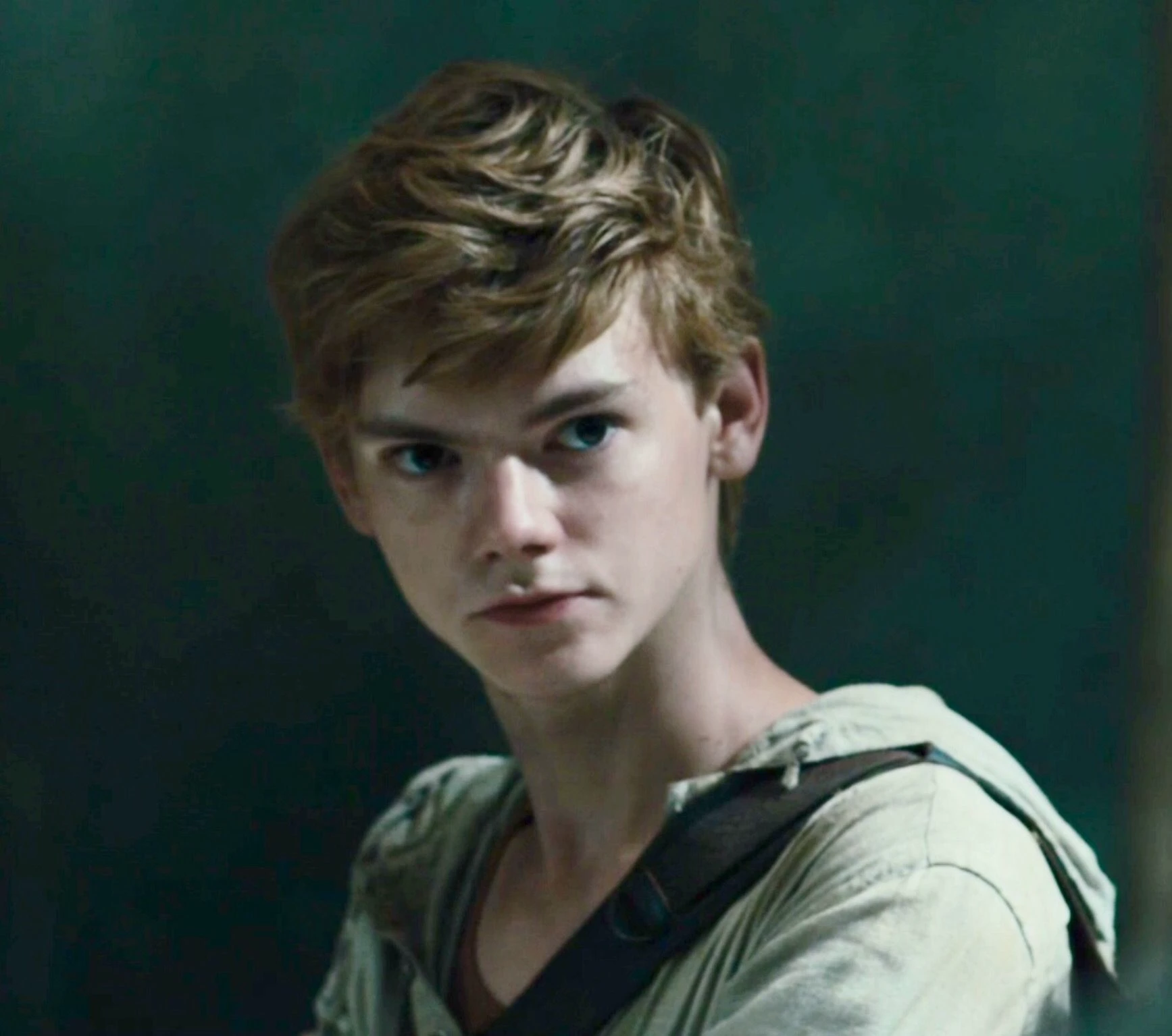 Newt thumbnail