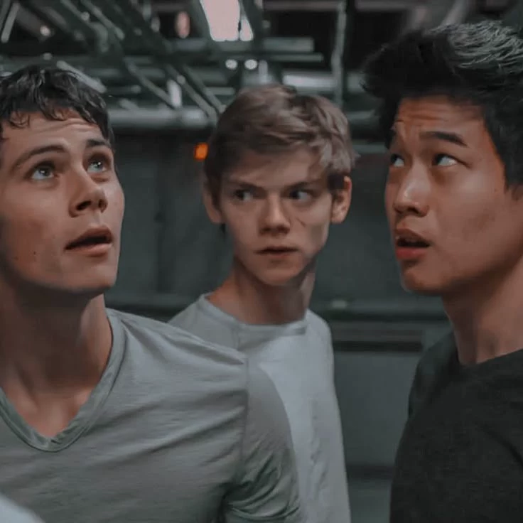 THE MAZE RUNNER thumbnail
