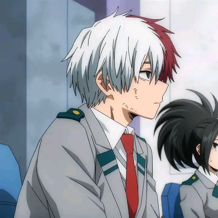 Shoto Todoroki thumbnail