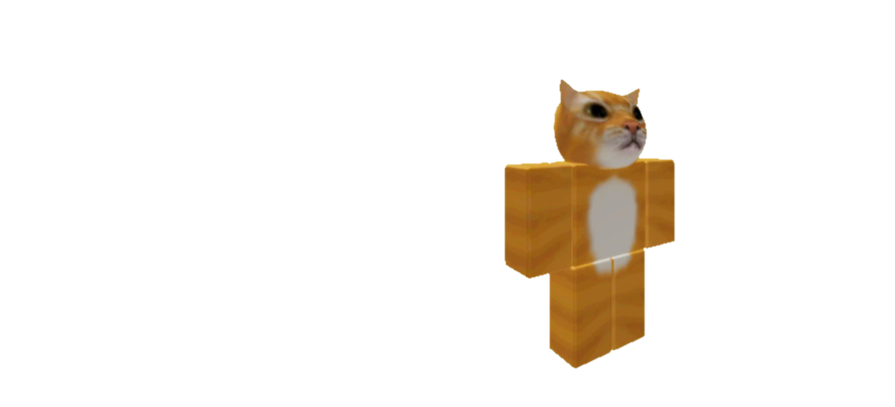 CAT thumbnail