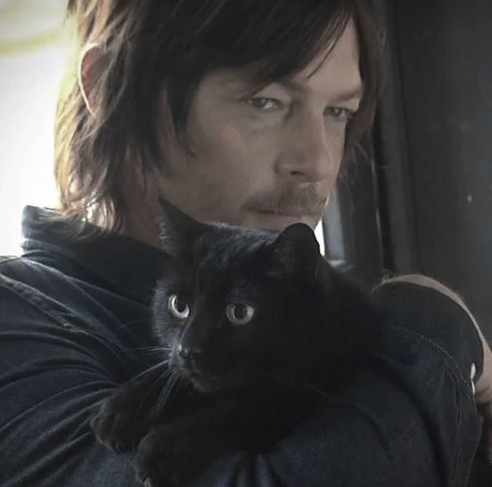 Daryl Dixon thumbnail